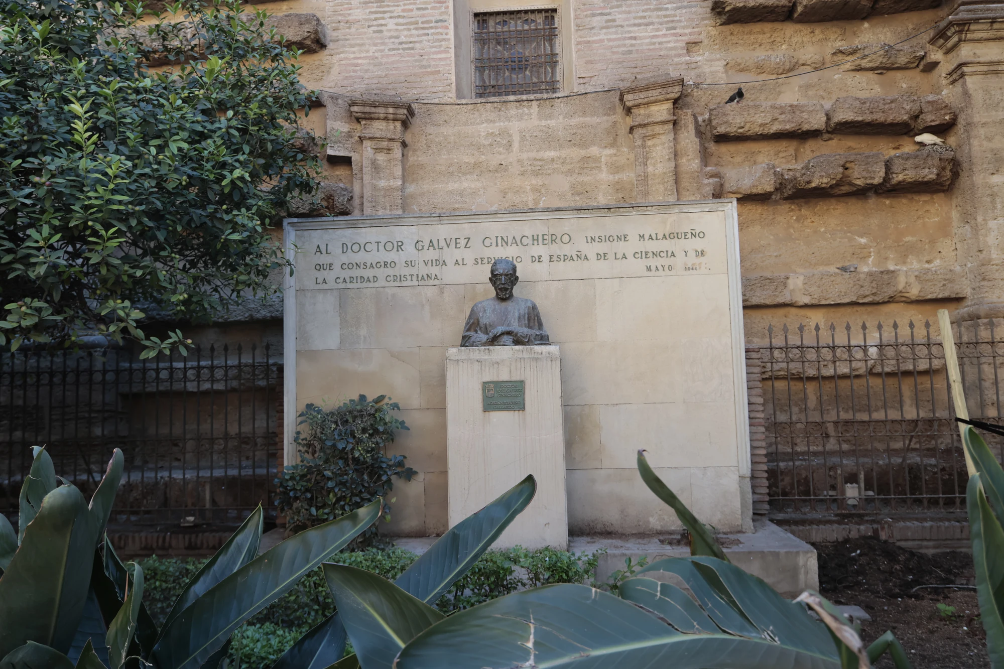 Tokina at-x 116 (EF) - _I4A2260.webp